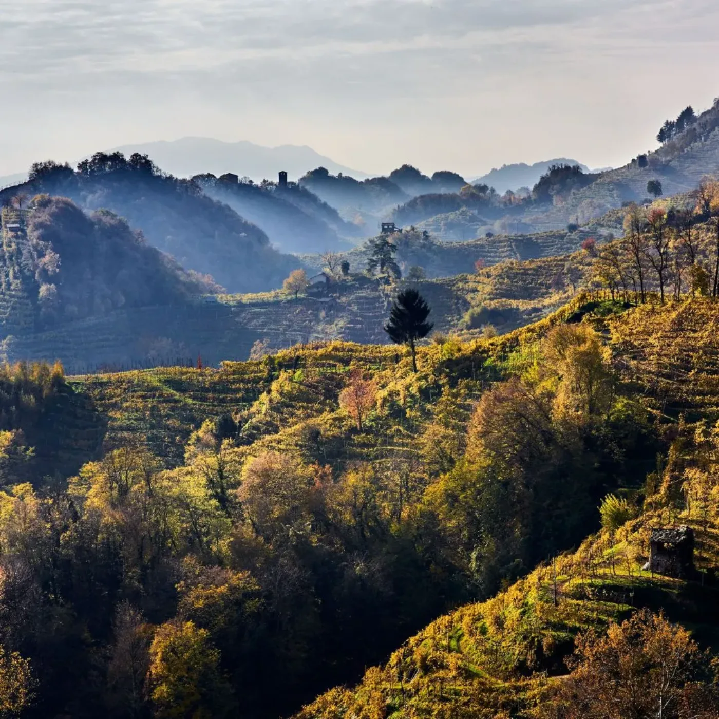 Farra di Soligo
